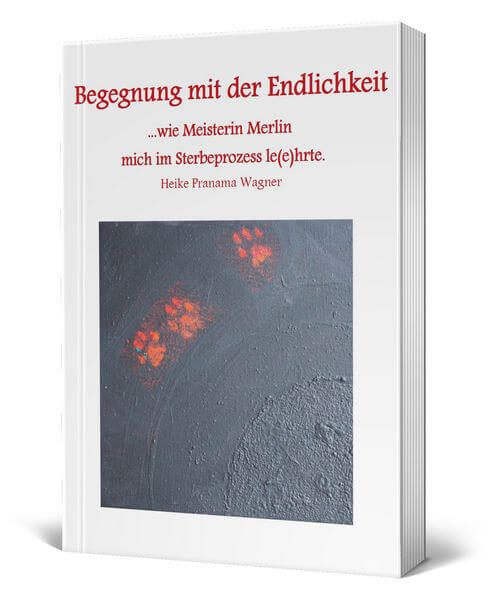 Buch, Begegnungen mit der Endlichkeit | Heike Pranama Wagner
